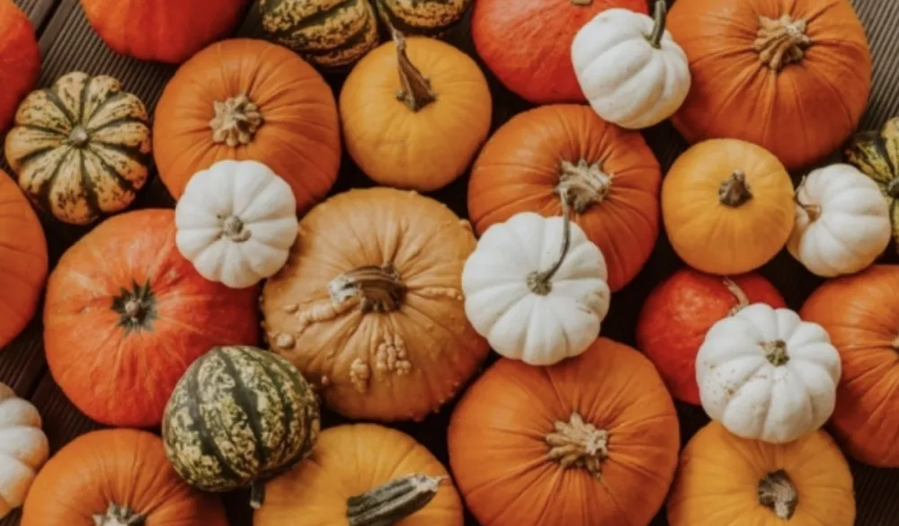 Bundeva liječi depresiju, pobolj&scaron;ava vid