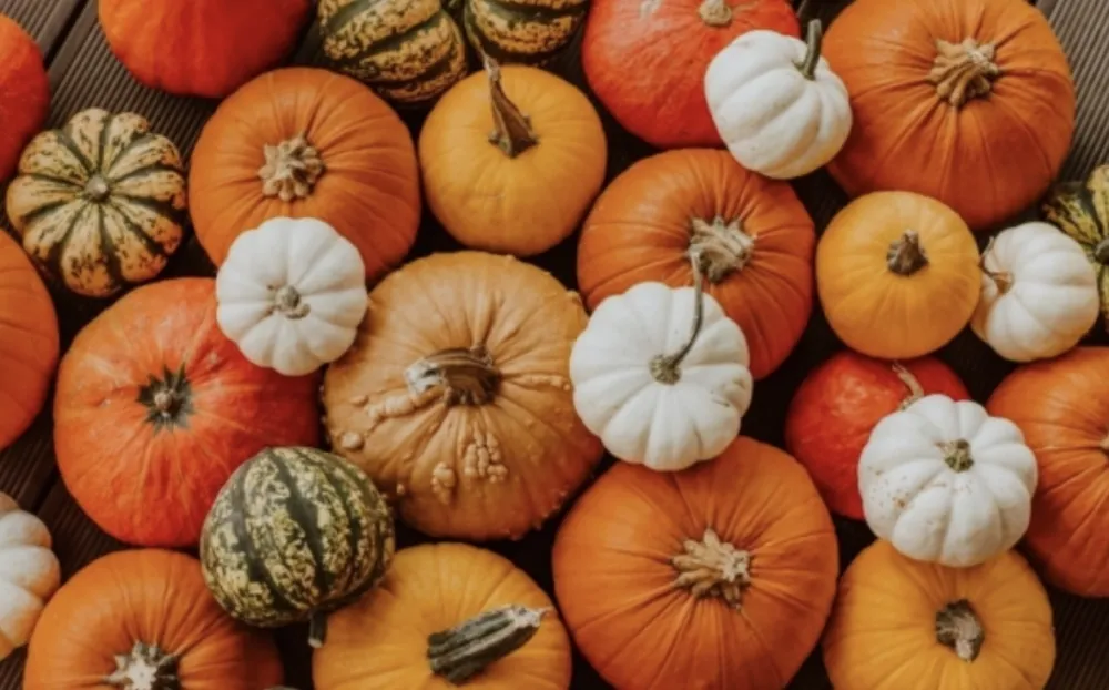 Bundeva liječi depresiju, pobolj&scaron;ava vid