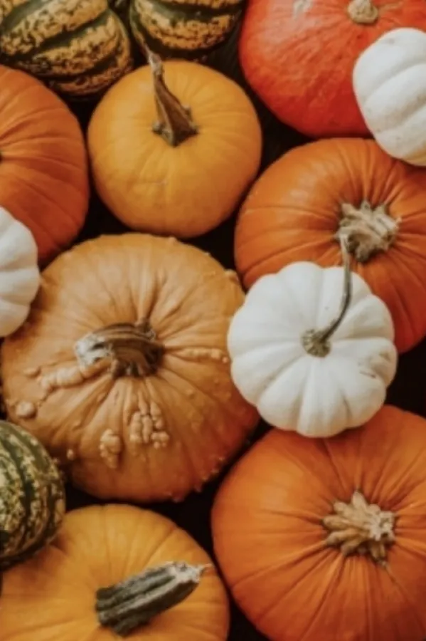 Bundeva liječi depresiju, pobolj&scaron;ava vid