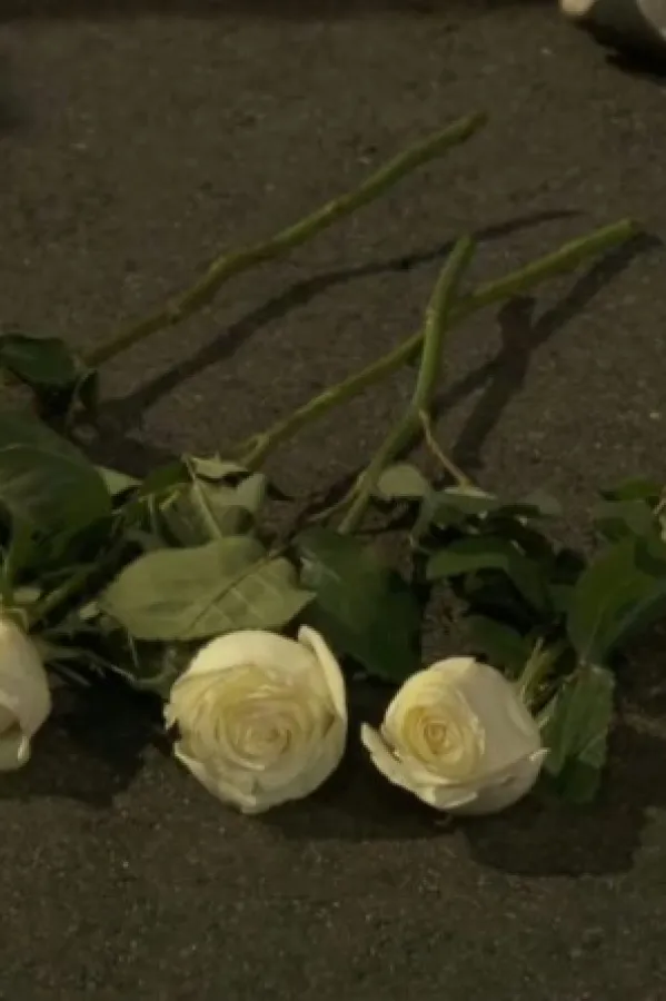 Godi&scaron;njica pada nadstre&scaron;njice u Novom Sadu