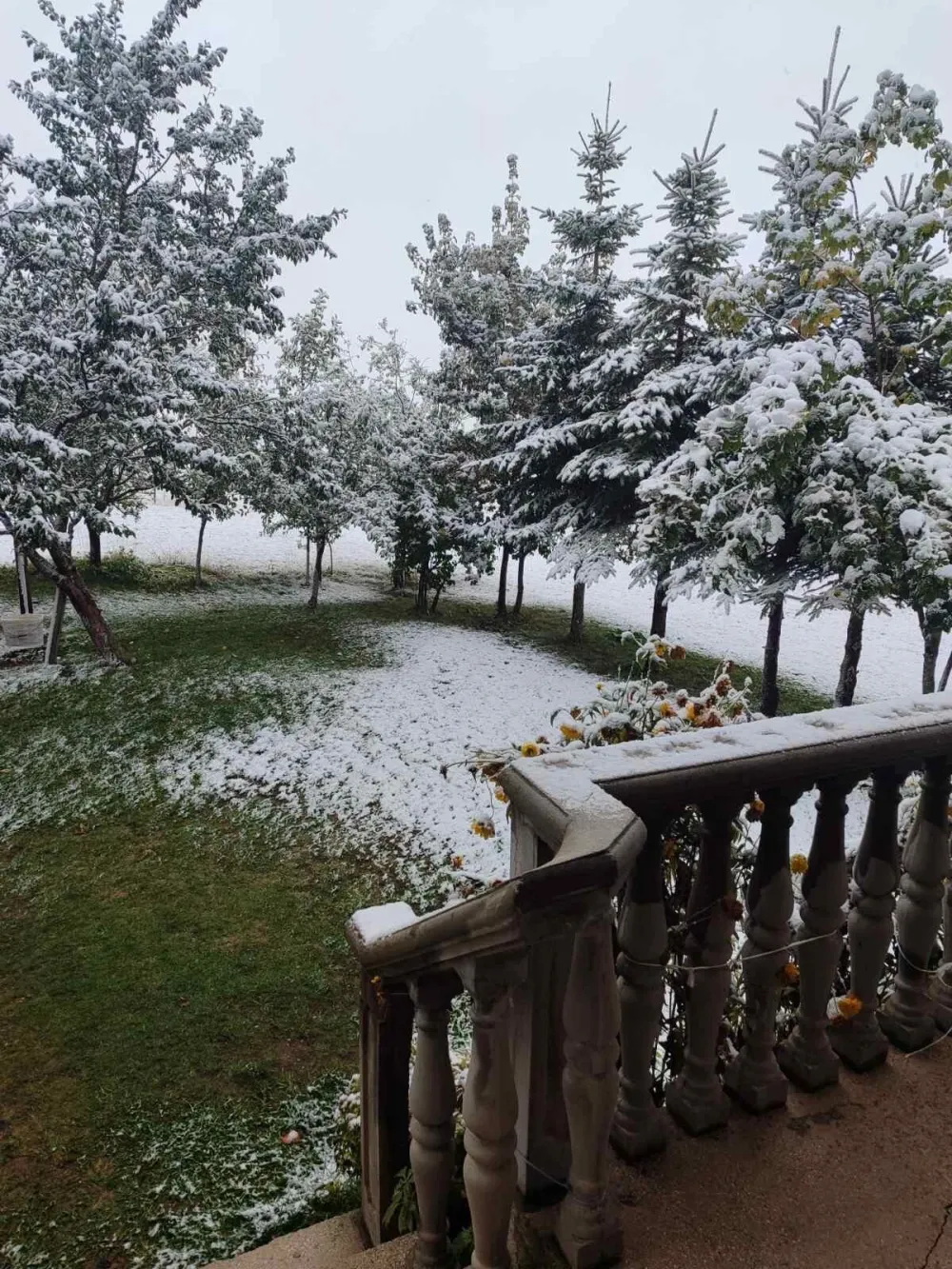 Pao prvi snijeg na Žabljaku