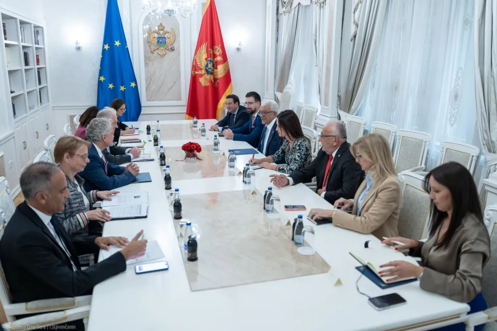 Mandić-Kopman: Crna Gora najvi&scaron;e napredovala od svih zemalja