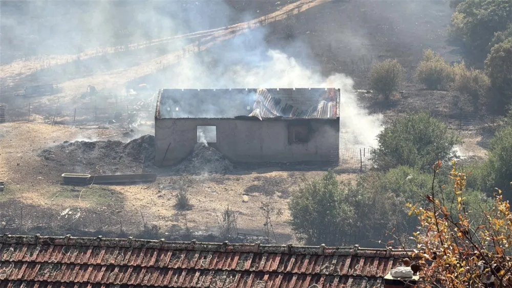 (VIDEO/FOTO) Za 1.500 požara samo 13 krivičnih prijava u Podgorici i Nik&scaron;iću za tri mjeseca