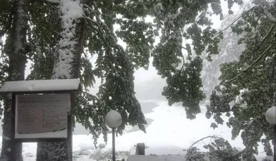 Biogradska gora zatvorena za posjete