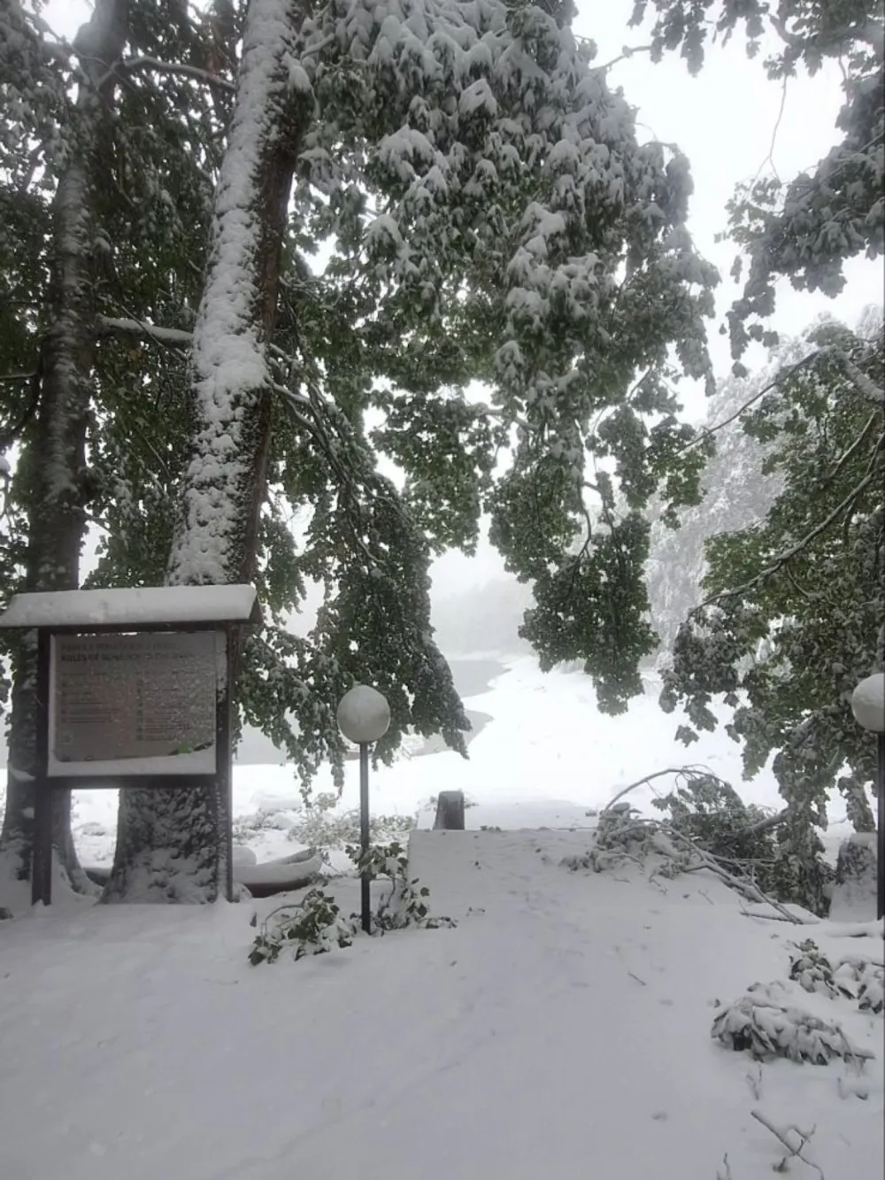 Biogradska gora zatvorena za posjete