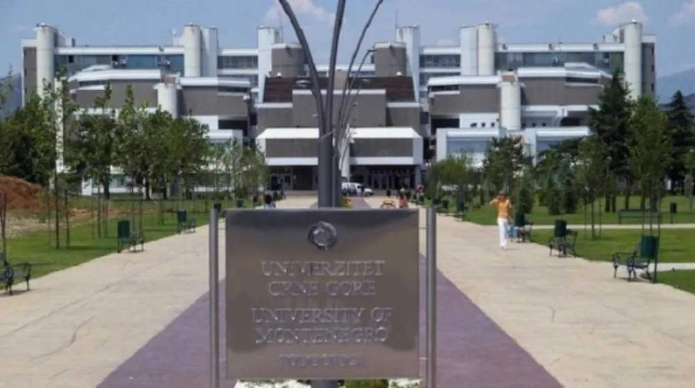 Besplatno testiranje inteligencije za studente i zaposlene na Univerzitetu Crne Gore