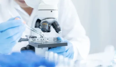 Naučnici stvorili jajne ćelije od ljudske kože&nbsp;