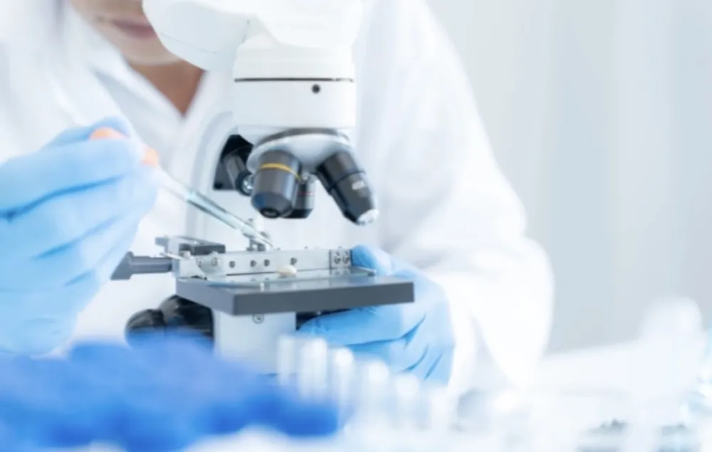 Naučnici stvorili jajne ćelije od ljudske kože&nbsp;