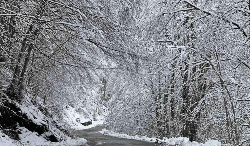 Snijeg u Srbiji, vanredna situacija u vi&scaron;e op&scaron;tina