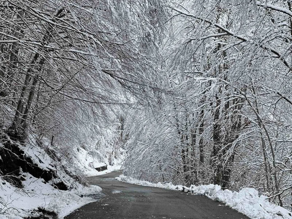 Snijeg u Srbiji, vanredna situacija u vi&scaron;e op&scaron;tina
