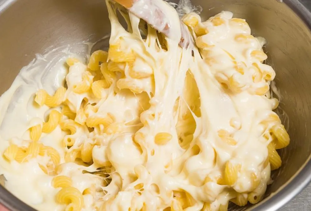 Pasta sa četiri vrste sira za idealan ručak