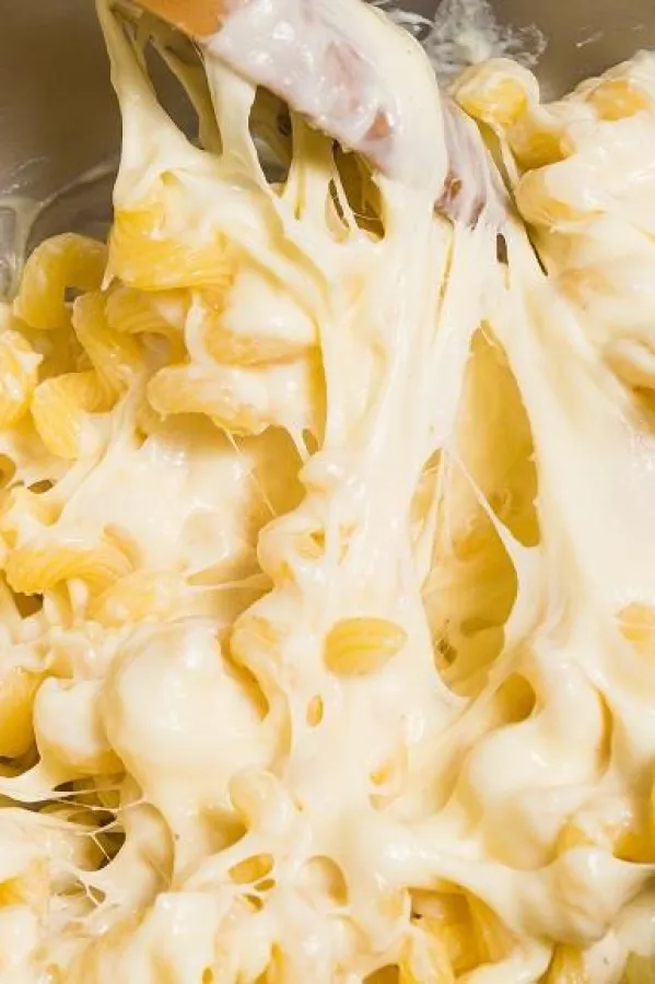 Pasta sa četiri vrste sira za idealan ručak