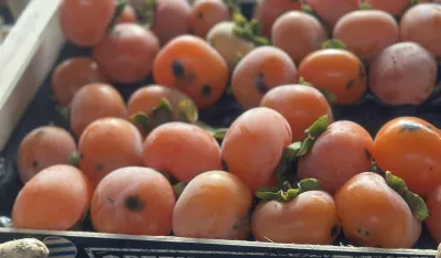 Japanske jabuke na pijacama prodaju četiri eura