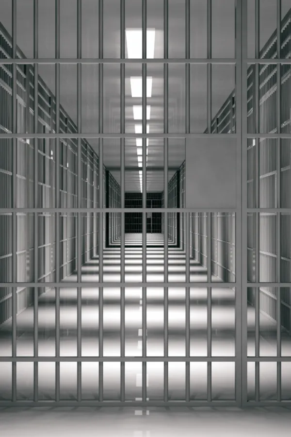 Rožajcu 40 dana zatvora zbog vožnje pod dejstvom kokaina