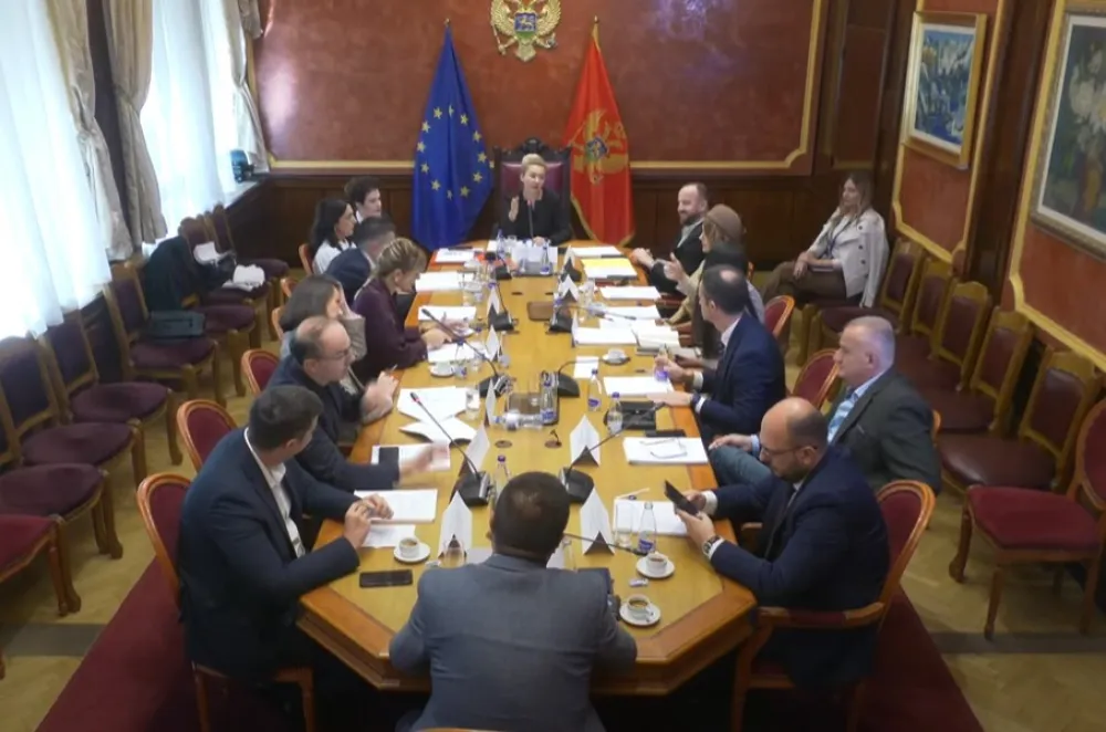 Ustavni odbor predložiće plenumu Jovanovića i Radović za sudije Ustavnog suda