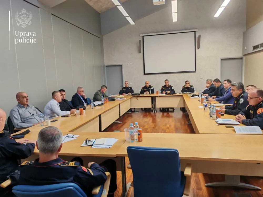 UP: Planiran intenzivniji rad zajedničkih patrola granične policije Crne Gore i BiH