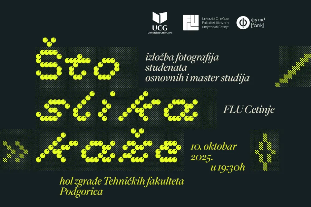 &Scaron;ta slika kaže