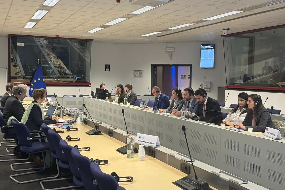 Zenović: Crna Gora ulazi u zavr&scaron;nu fazu pregovora