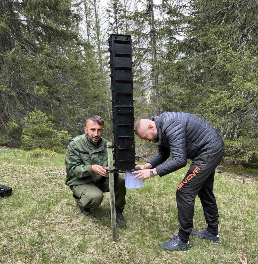 U NP Prokletije se smanjuje brojnost potkornjaka