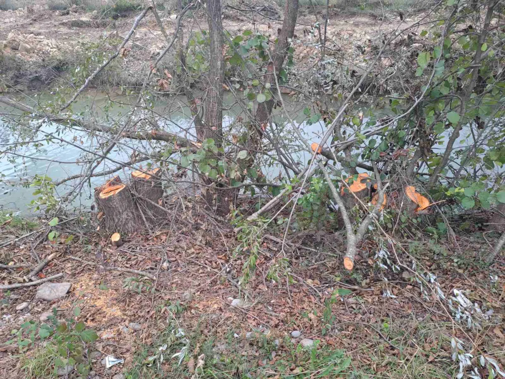 Ni&scaron;avić: Fizičko lice upravljalo ustavama na Marezi