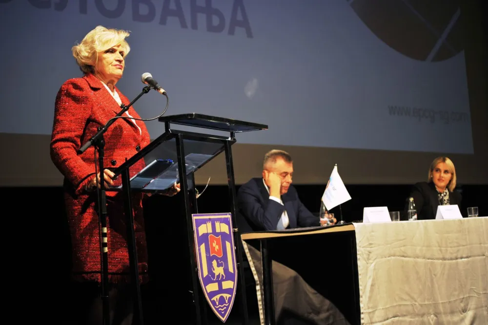 Solar gradnja negativno utiče na poslovanje EPCG grupe