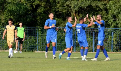 &Scaron;estica Ulicnjana