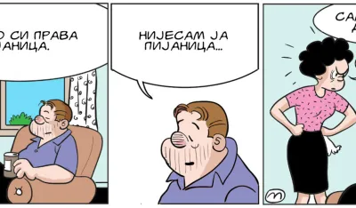 Mirko Zulić Strip Dana