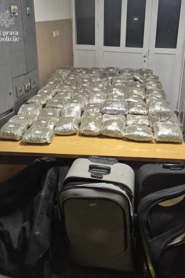 Kod mladića iz Zete nađeno 40 kg marihuane