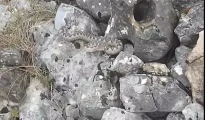 Poskok pu&scaron;ten u kanjon SU&scaron;ice