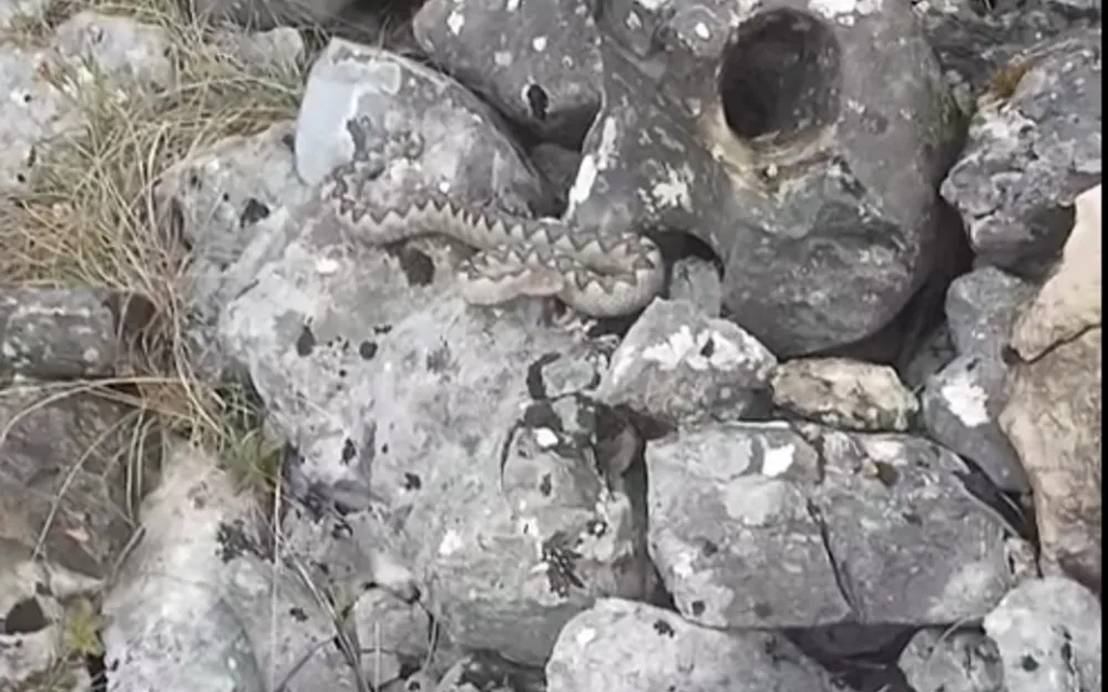 Poskok pu&scaron;ten u kanjon SU&scaron;ice