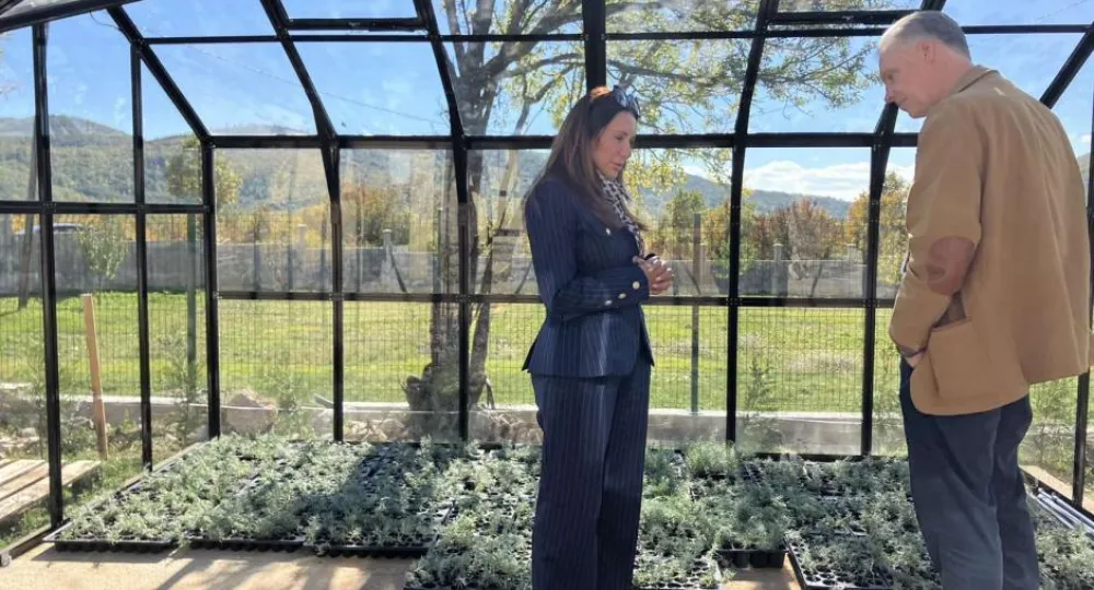 Međedović i Burwitz 