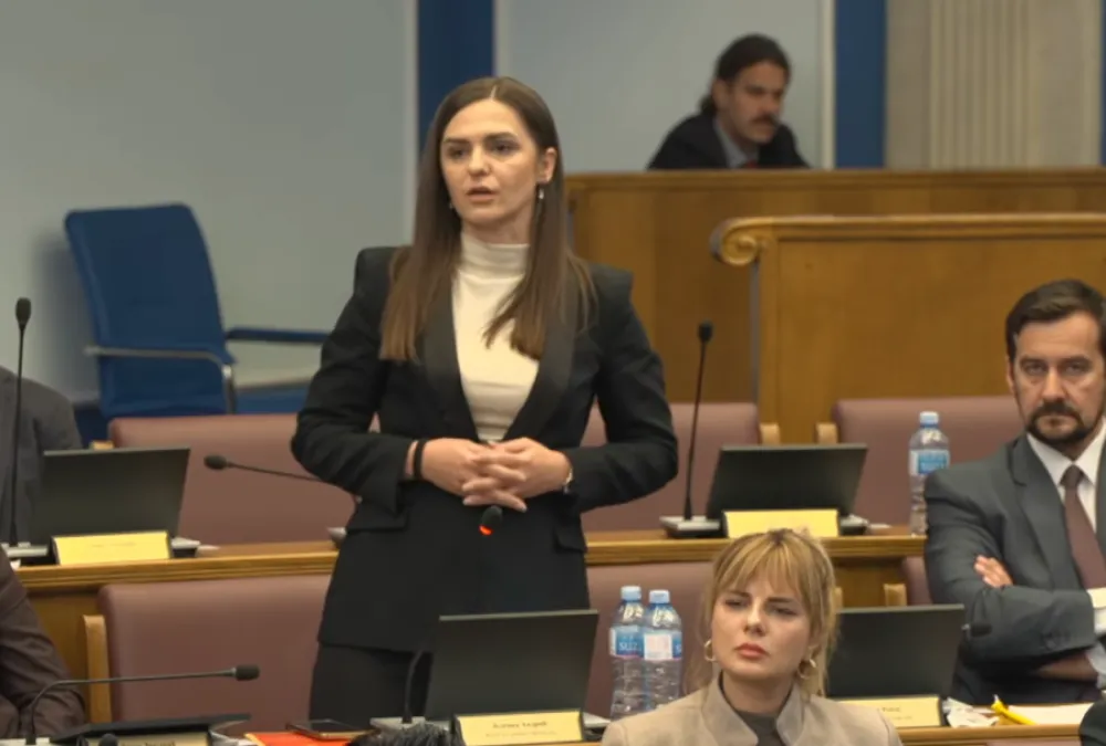 Andrić: Jedan poslanik DPS-a opsovao Nedovićevu, Nikolić: Izvinjavamo se