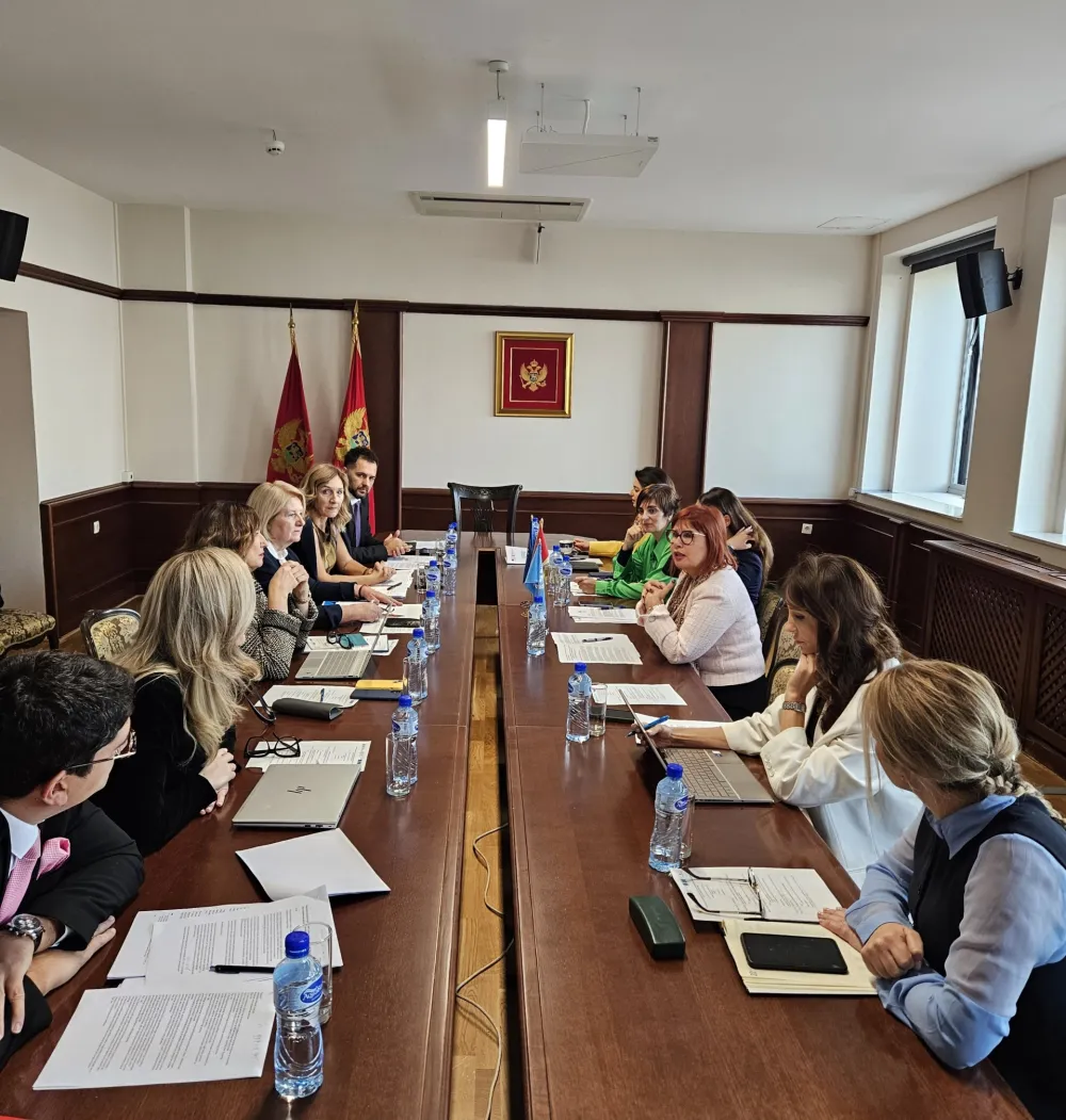 Započeta izrada Smjernica za efikasniju za&scaron;titu žrtava trgovine ljudima i ostvarivanje naknade &scaron;tete