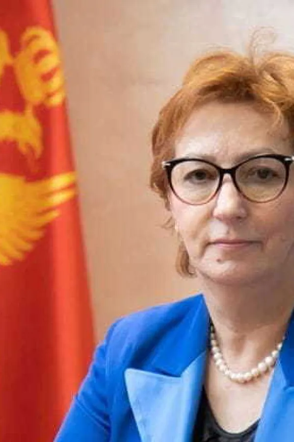 Delegacija Skup&scaron;tine Crne Gore na sastanku parlamentaraca u okviru Berlinskog porcesa