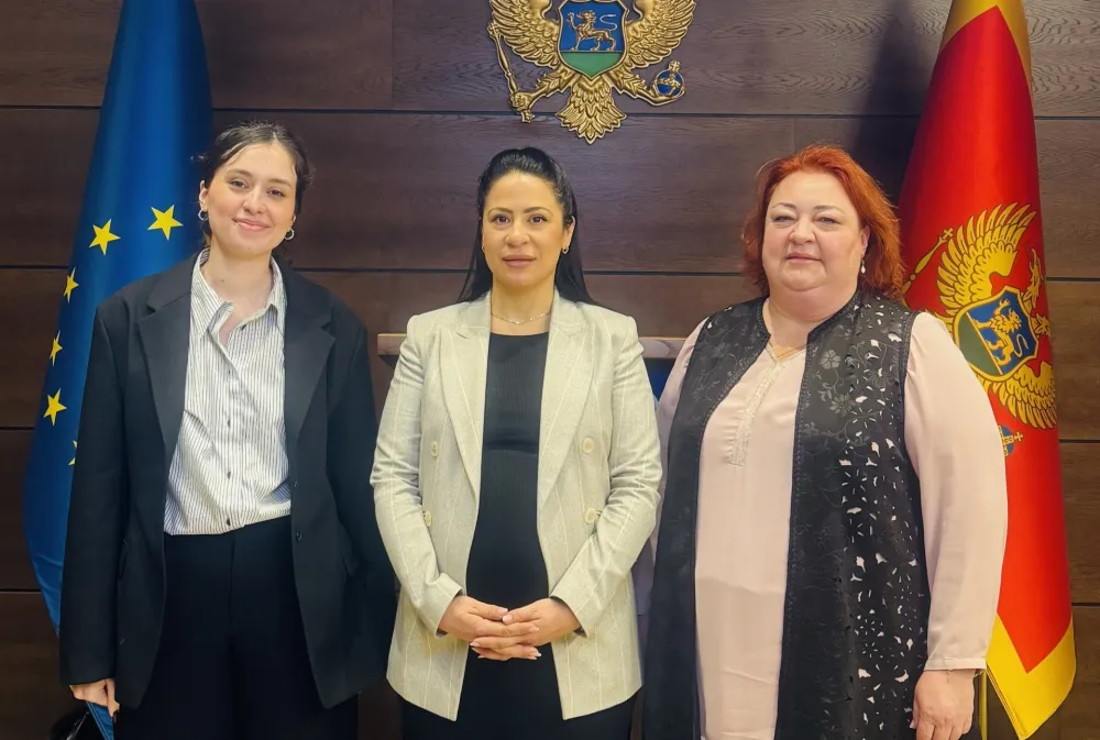 Vuković i NVO "Prima": Kazne za krivična djela obljube nad djetetom se moraju povećati