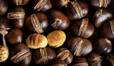 Kesten čuva srce i suzbija rast tumora&nbsp;