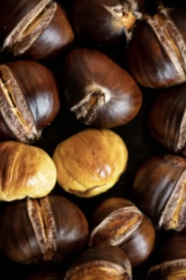 Kesten čuva srce i suzbija rast tumora&nbsp;