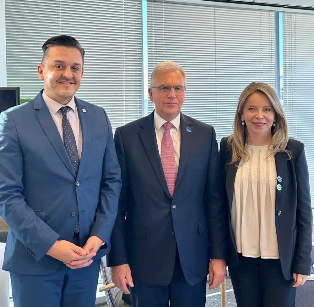 Podr&scaron;ka reformama i fiskalnoj i finansijskoj stabilnosti