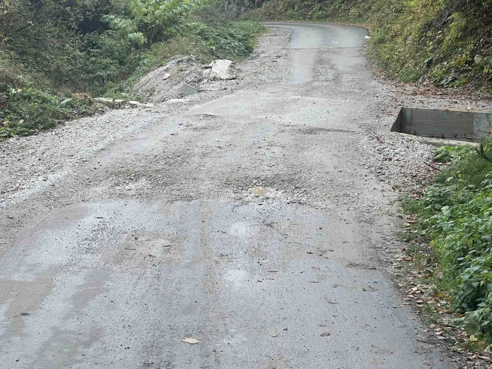 Mje&scaron;tani Gornjeg Zaostra: Sanacija puta ili blokada Persine stanice