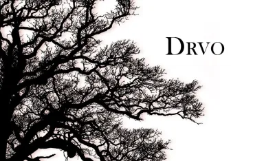 Гомез Берасова књига