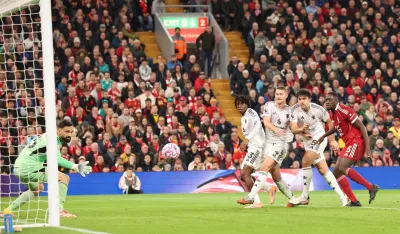 Megvajer matirao &scaron;ampiona