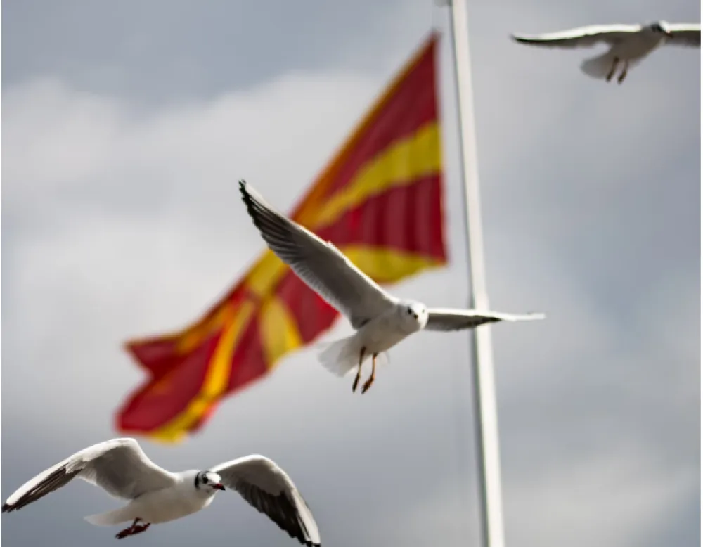 Prvi rezultati izbora u Sjevernoj Makedoniji:&nbsp;Ova stranka&nbsp;vodi u 51 op&scaron;tini