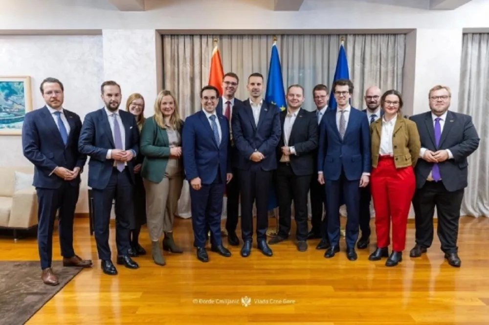 Delegacija, mlada grupa, Bundestag