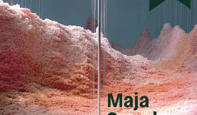 Izlaže Maja Smrekar