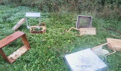 Medvjed polomio ko&scaron;nice u Brskutu