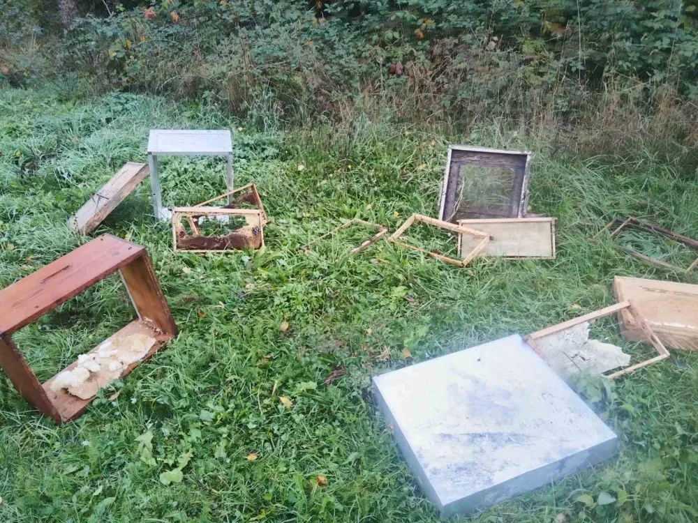 Medvjed polomio ko&scaron;nice u Brskutu