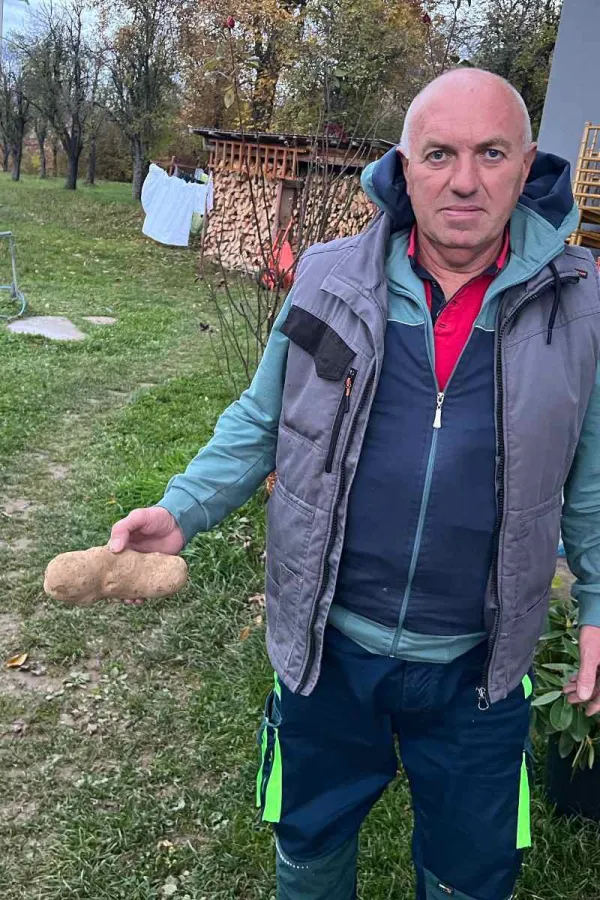 Džinovski plodovi na imanju Mine Komatine: Krompir težak četiri kilograma