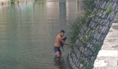 Mladić iz Rusije u Kotoru spasio mačku iz rijeke