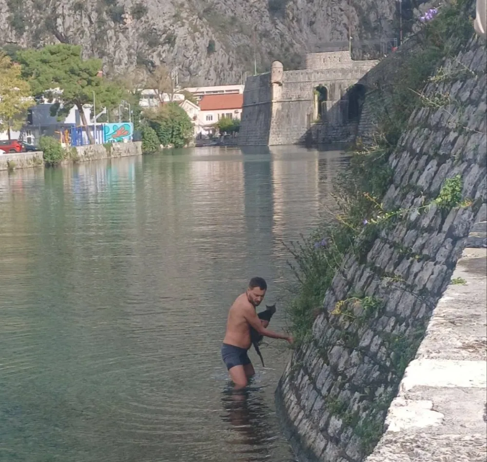 Mladić iz Rusije u Kotoru spasio mačku iz rijeke
