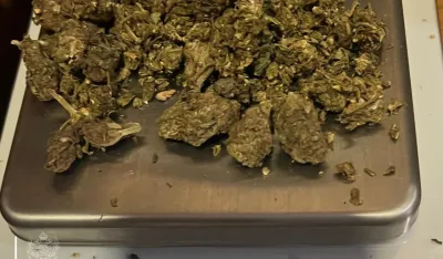 Pronađena marihuana